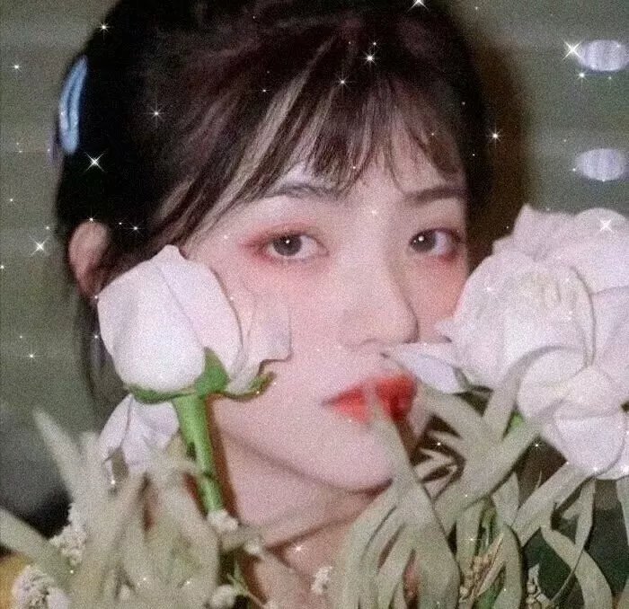 蓝宇