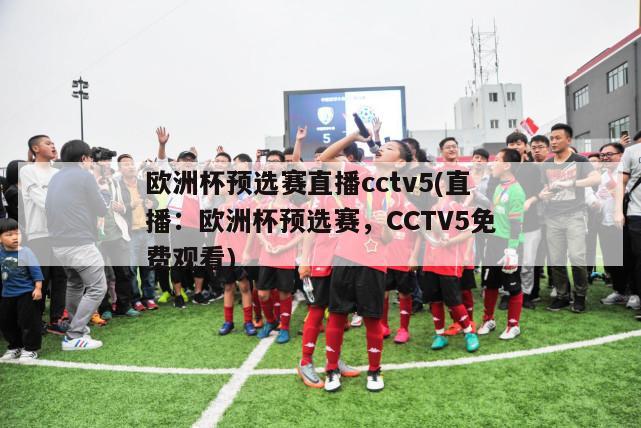 欧洲杯预选赛直播cctv5(直播：欧洲杯预选赛，CCTV5免费观看)