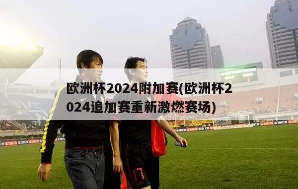 欧洲杯2024附加赛(欧洲杯2024追加赛重新激燃赛场)